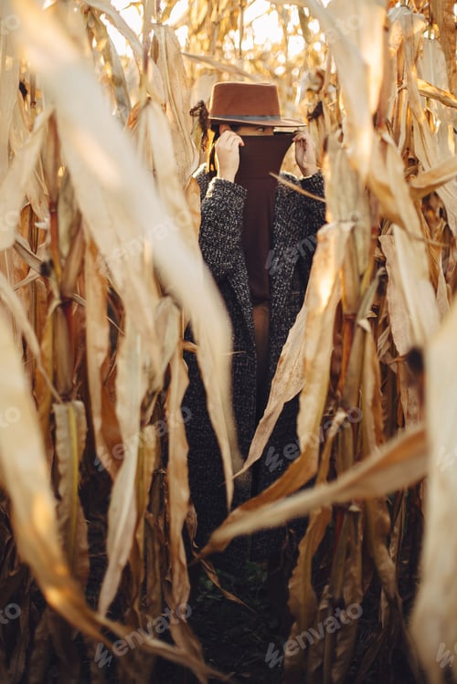 Preview: Beautiful stylish woman in brown hat and vintage coat hiding in autumn maize field in sunset light