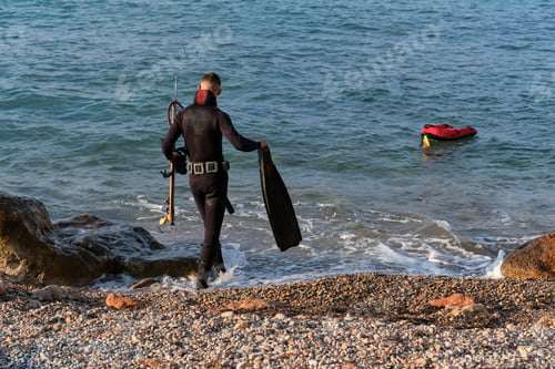 Preview: Anonymous man in wetsuit walking in seawater with flippers and speargun