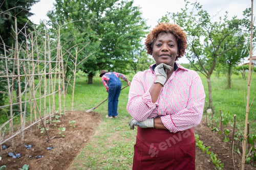Preview: Peasant woman in her cultivated field, her husband digs the earth, small business entrepreneur