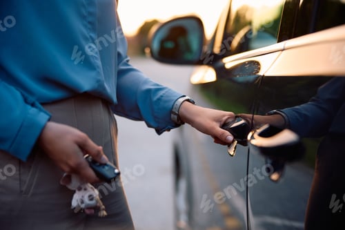 Preview: Close up of woman getting into her car.