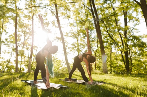 Preview: Women practicing yoga in a green forest