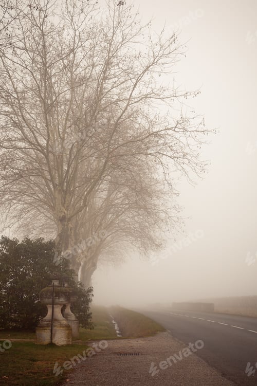 Preview: Misty Landscape - II