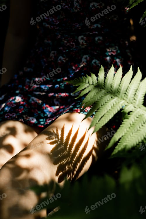 Preview: young woman lying on the grass on a summer day. The shadow of a fern leaf on body. Summer, happiness