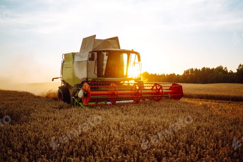 Preview: Modern industrial combine harvester harvests wheat cereals on a summer day. Rich harvest concept.