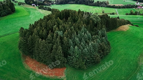Preview: Aerial View of Lush Hill Forest in Allgäu Green Pastures and Rolling Hills