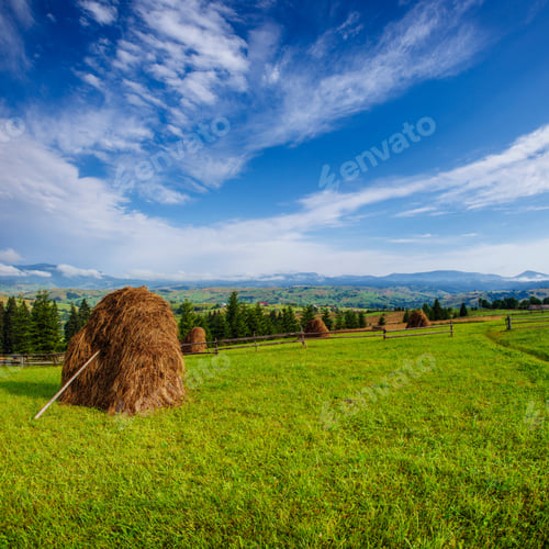 Preview: Beautiful sunny day is in mountain landscape. Carpathian, Ukrain