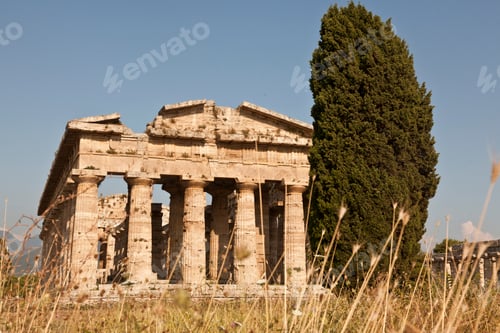 Preview: Ancient temple ruins bask in the golden glow of the sun amid a field of tall grasses