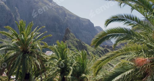 Preview: Masca Gorge and village on the island of Tenerife, Canary Islands, Spain