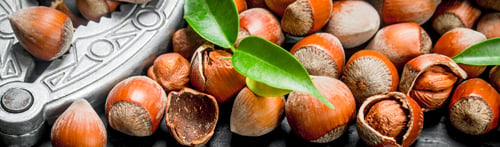 Preview: Hazelnuts in a shell with a Nutcracker.