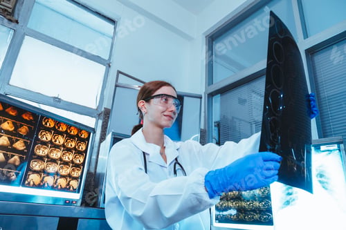 Preview: Female medical radiologist doctor looking head and brain x-ray film before surgery in hospital lab.