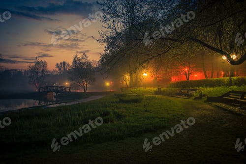 Preview: Mystery Fog in the City Park
