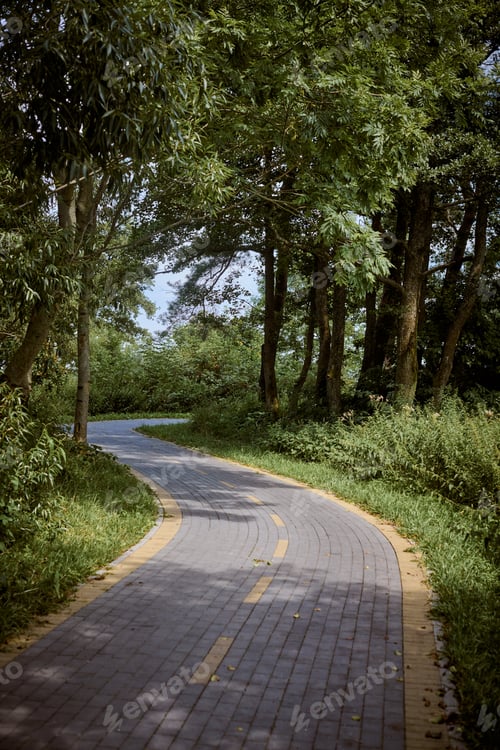 Preview: Serene forest cycleway curve under sunny sky