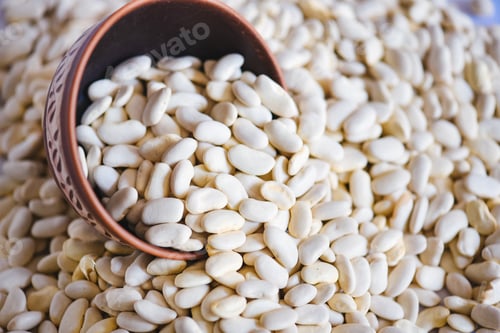 Preview: A close up view of white bean seeds in the bowl