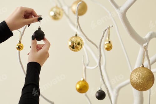 Preview: Woman Decorating Bare Tree Branches