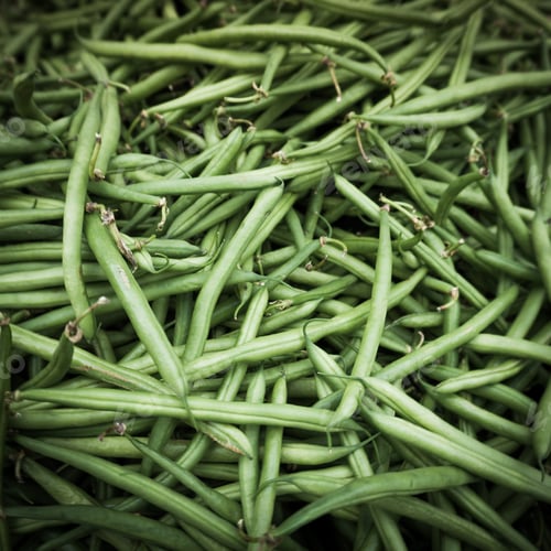 Preview: green bean