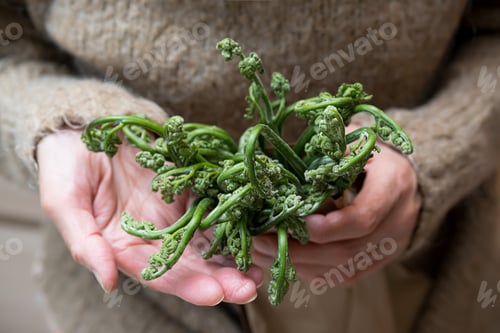 Preview: Bracken Fern at Paper Bag, in Hands of Elderly Woman. Vegan Concept. Sustainable Lifestyle.