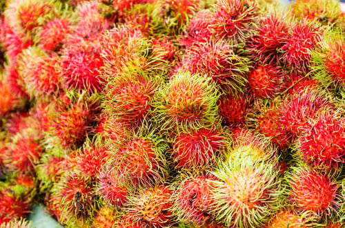 Preview: Red rambutan