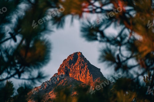 Preview: Mountain peak visible through pine branches, Nevado de Colima National Park