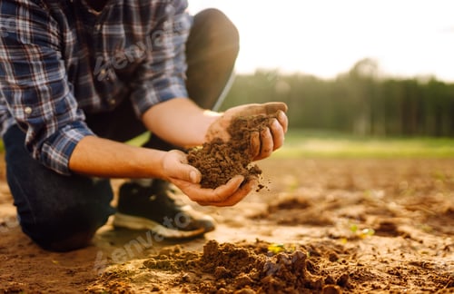 Preview: Farmer's hands take the soil from field and check its quality. Experienced male hands hold the soil.