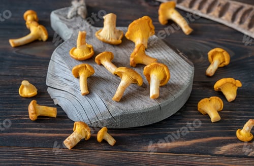 Preview: Fresh chanterelles