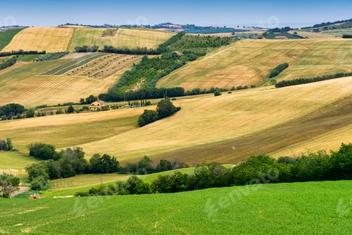 Preview: Rural landscape along the road from Fano to Mondavio, Marche