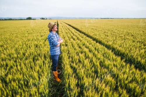 Preview: Agricultural worker
