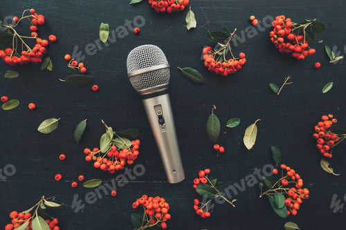 Preview: Microphone flat lay top view