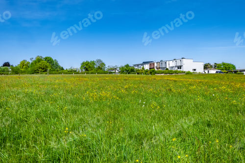 Preview: Green agricultural field with a lot of beautiful trees and houses in the background