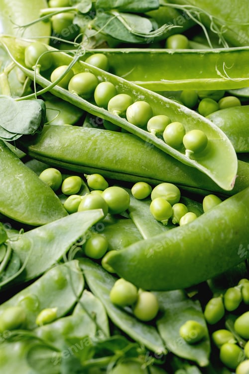 Preview: Young green pea