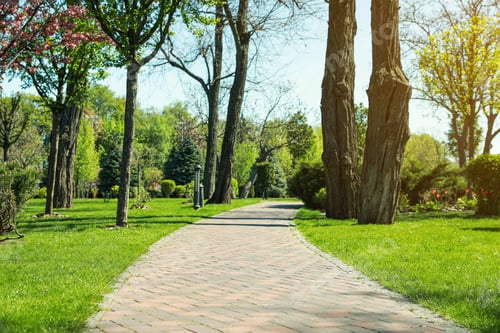 Preview: Picturesque view of beautiful park with fresh green grass and trees