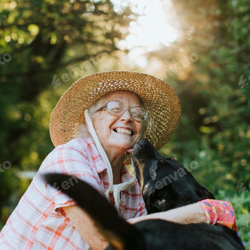 Preview: Happy senior woman getting kisses from her dog