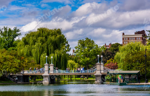 Preview: Buildings And Bridge Over A Pond In The Boston Public Garden.