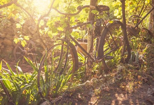 Preview: Vintage bicycle