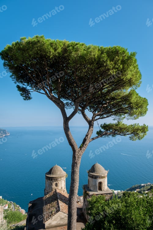 Preview: Breathtaking views of the Amalfi Coast with a solitary pine tree under a clear blue sky