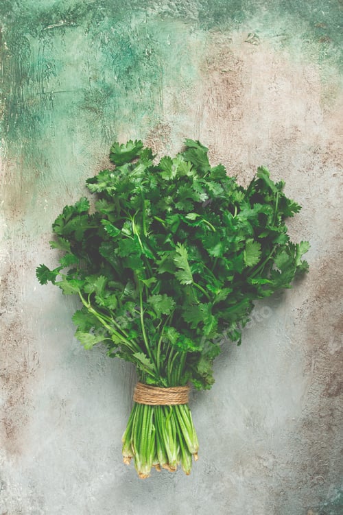 Preview: a bouquet of fresh coriander, a bunch of coriander on the table, top view,