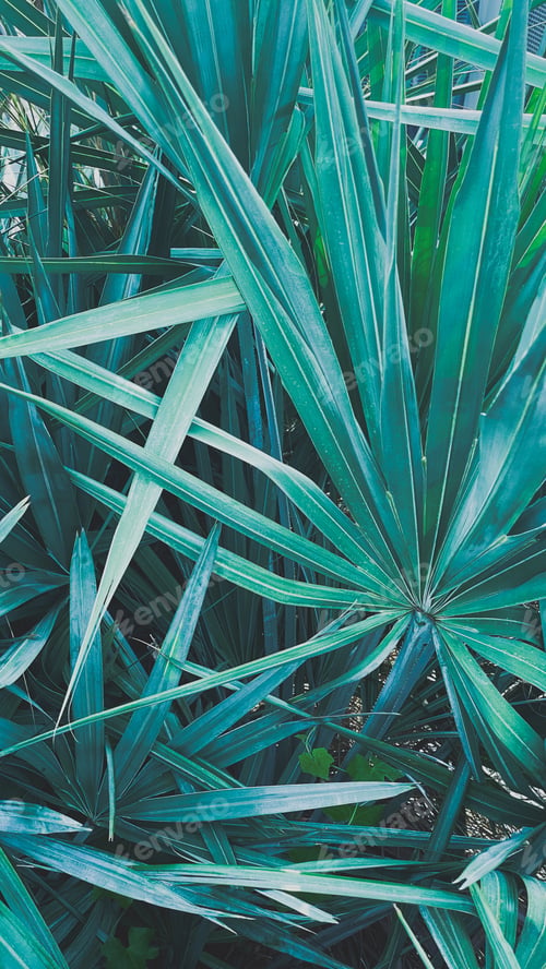 Preview: Lush greenery