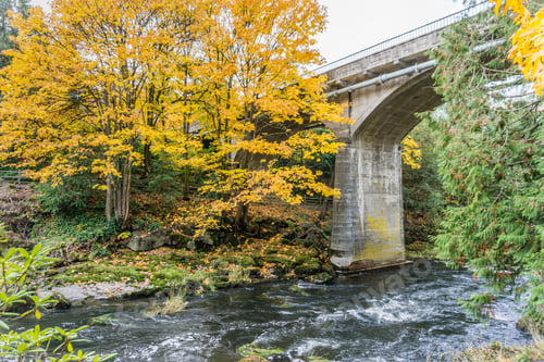 Preview: A View Of Autumn Leaves And A Bridge At Tumwater Falls Park In Washington State.