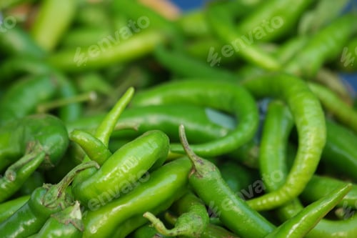 Preview: Green hot chili peppers background.