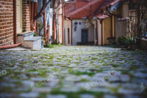 Preview: The Paving Stones Overgrown With Grass In Georgia