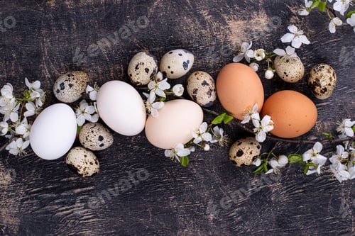 Preview: Chicken and quail eggs with blooming branch