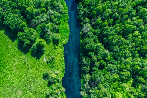 Preview: Aerial drone view of deep blue river and green summer woods and grass fields
