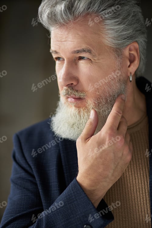 Preview: Close up portrait of stylish handsome grey haired middle aged man looking away, touching his beard