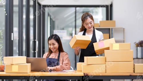 Preview: Two Asian woman owned business startup sme small business entrepreneur SME distribution warehouse
