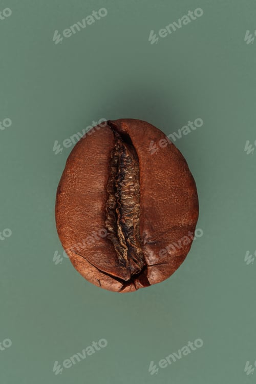 Preview: Macro photography of roasted coffee bean on green background