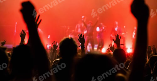 Preview: crowd at concert - summer music festival