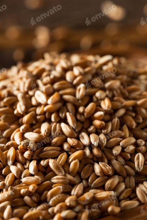 Preview: Raw Organic Spelt Grain