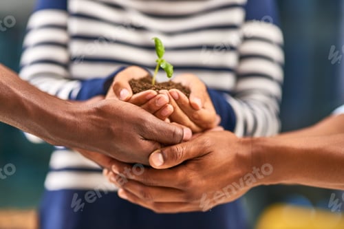 Preview: We are all responsible for growth