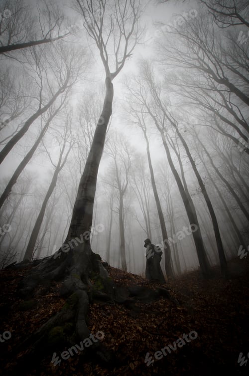Preview: Spooky silhouette near giant tree in haunted mysterious forest with fog
