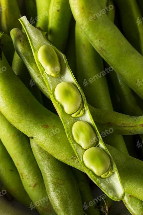 Preview: Raw Organic Fresh Green Fava Beans