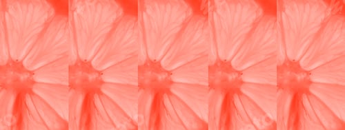 Preview: Lemon Slice Fresh Background Image